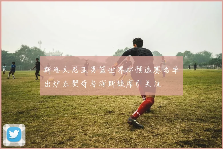 斯洛文尼亚男篮世界杯预选赛名单出炉东契奇与海斯缺席引关注
