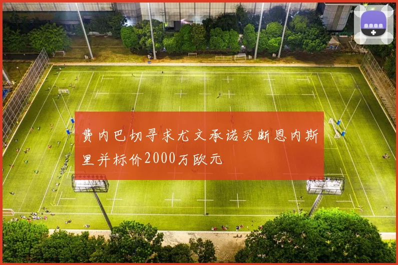 费内巴切寻求尤文承诺买断恩内斯里并标价2000万欧元
